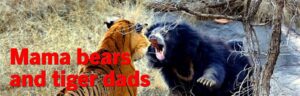 Simply for Dads, Raising daughters