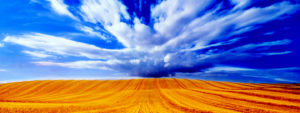 The lesson of abundance (especially when it appears not to be so)