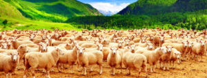 The lesson of abundance (especially when it appears not to be so)