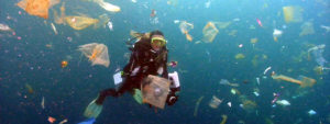 Job shadowing: housekeeping (at home and our planet)
