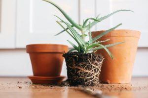 Parenting is not about the parents (Case Study 2): The zen of za