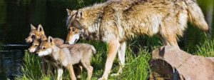 Raising your only child as though she wasn’t