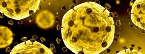 Co-parenting in a time of pandemic