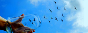 Forgive is something you do for others. Forget is something you do for yourself
