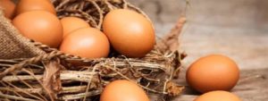Life is not like a box of chocolates…it’s more like a carton of eggs