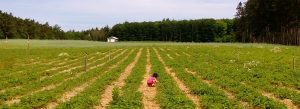 The value of alone time
